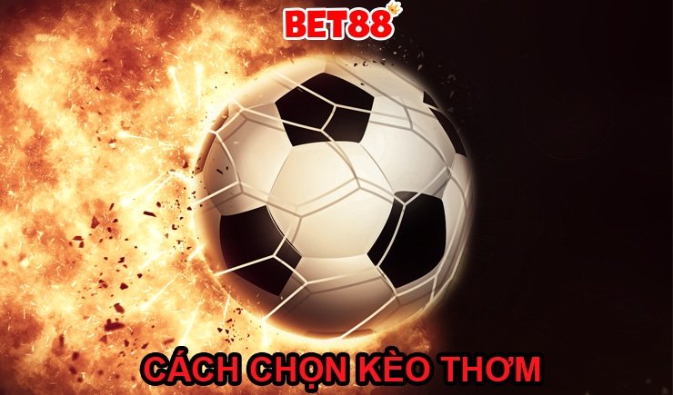 Hướng dẫn cách chọn kèo thơm trong cá cược bóng đá hiệu quả nhất