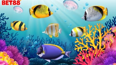 Hướng dẫn cách chơi game bắn cá online đổi thưởng cho các game thủ