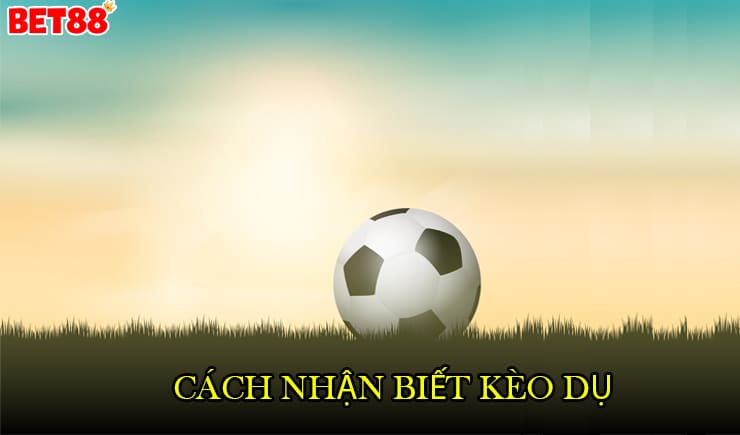 Hướng dẫn cách nhận biết kèo dụ trong bóng đá trực tuyến