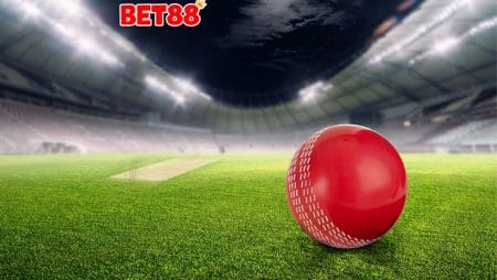 Những câu hỏi trong cá cược online được người chơi nhắc đến