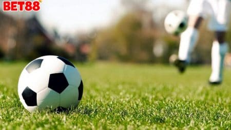 Bóng cỏ là gì? Kinh nghiệm đánh bóng có kiếm tiền hiệu quả