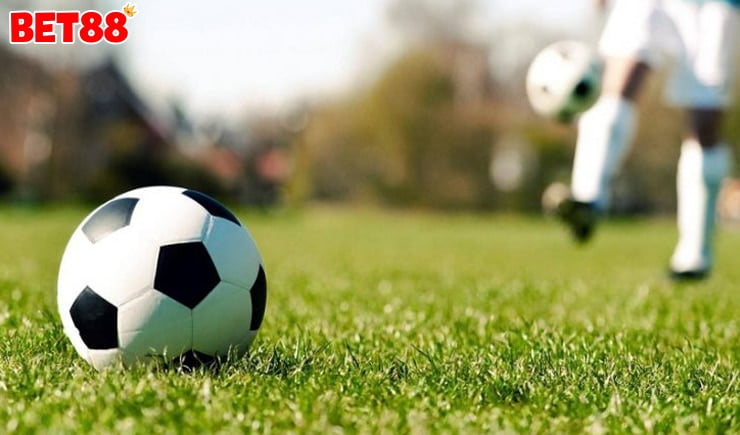 Bóng cỏ là gì? Kinh nghiệm đánh bóng có kiếm tiền hiệu quả