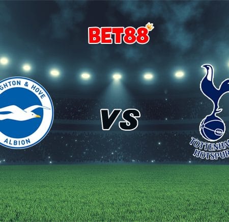 Soi kèo nhà cái trận Brighton vs Tottenham, 02h15 – 01/02