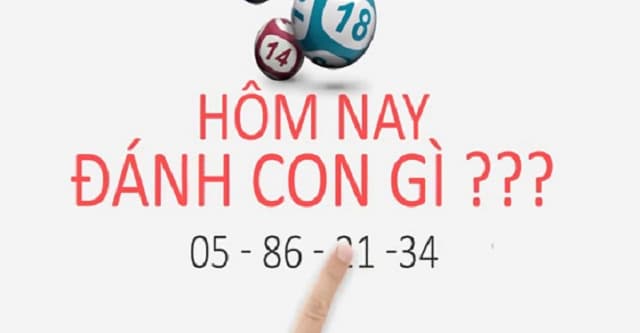 Con Lô Đẹp Nhất Hôm Nay - Cách Tìm Con Lô Tỉ Lệ Trúng Cao 11 Giải mã con lô đẹp nhất từ 20 - 87