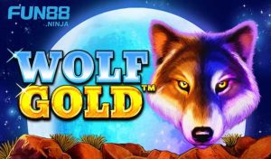 Hành Trình Săn Lùng Kho Báu Wolf Gold Slot